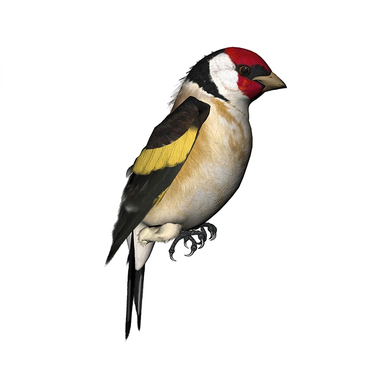 New Design for Tinsel Finches  - Tinsel Garland Decoration incelemesi ve fiyatı
